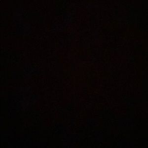 Meet your Posher, Rylee